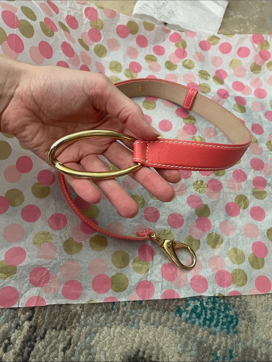 Real leather Gold Hardware - Coral Pink Carlisle belt adjustable main image 5
